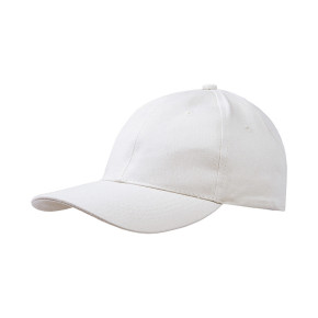 ws/3233-1/2555-leuko