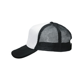 ws/3236-5/2582-aspro-mauro