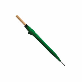 ws/3260-3/2595-green