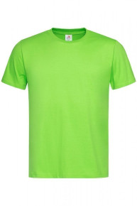 ws/7021-6/kiwi