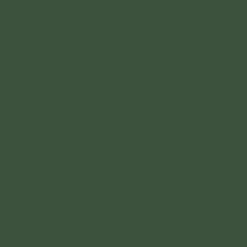 OLIVE.jpg