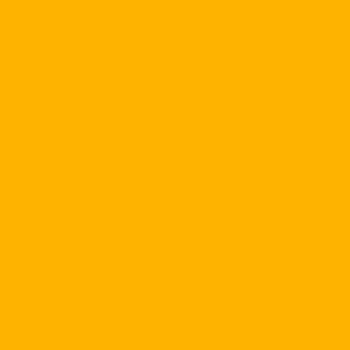SUN_FLOWER.jpg