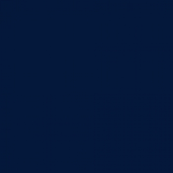 NAVY.jpg