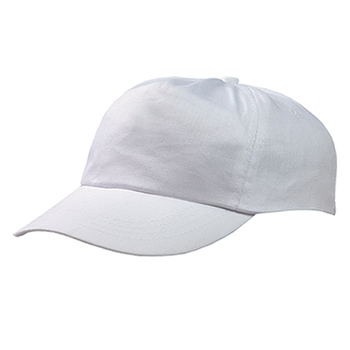 2550_white.jpg